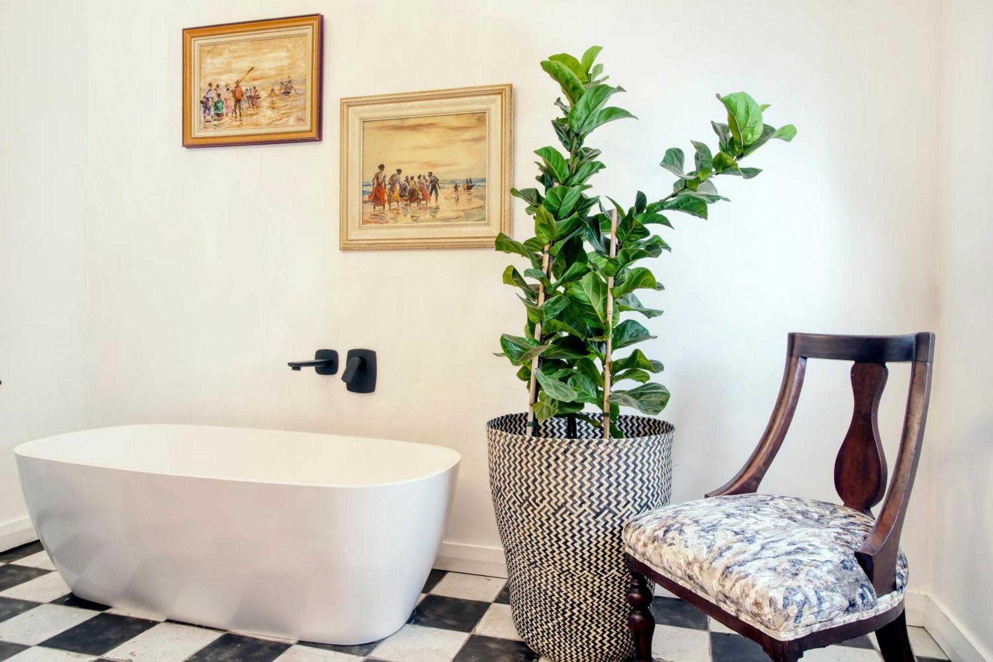Maison Montagne Franschhoek Esterno foto