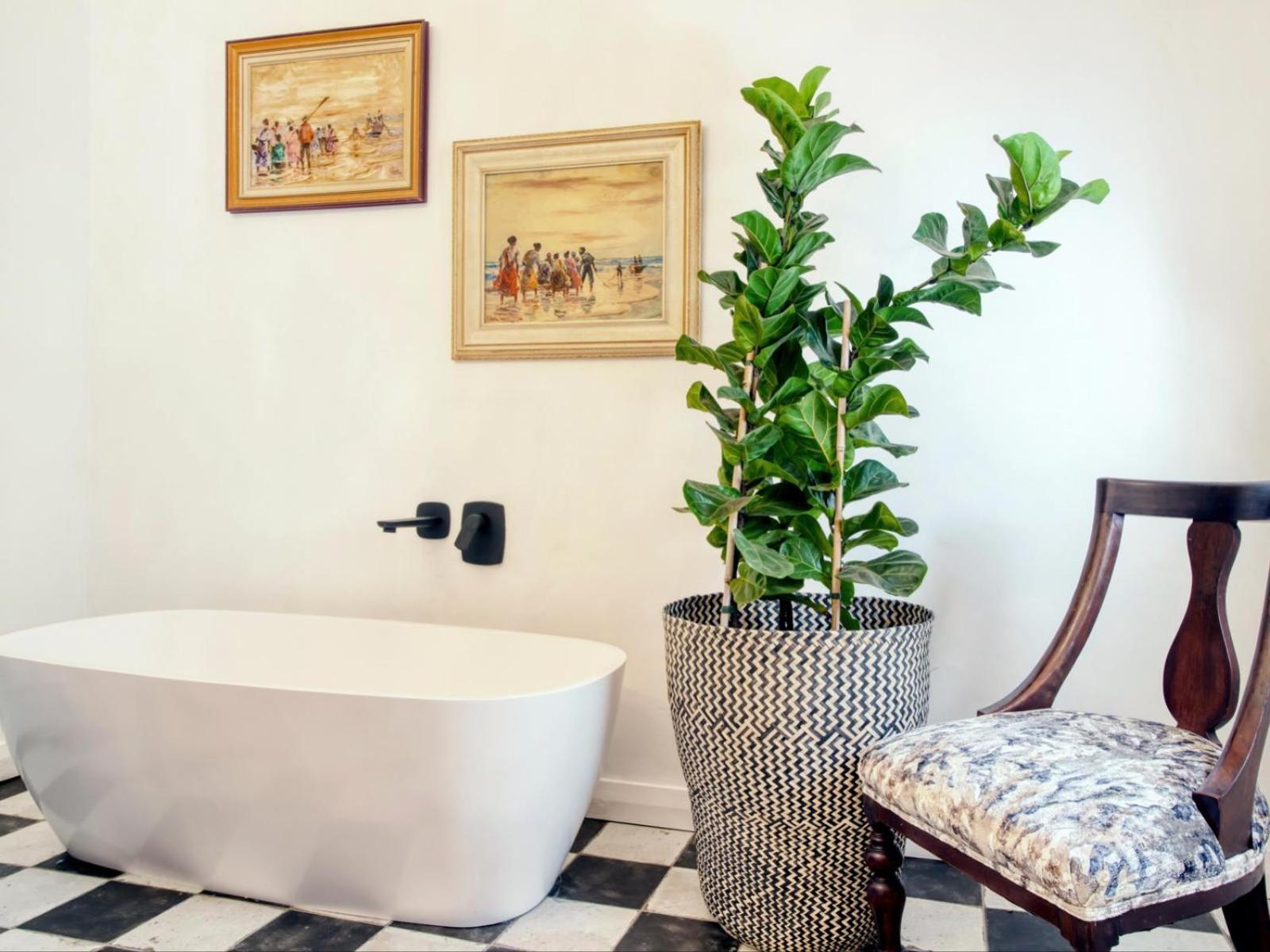Maison Montagne Franschhoek Esterno foto